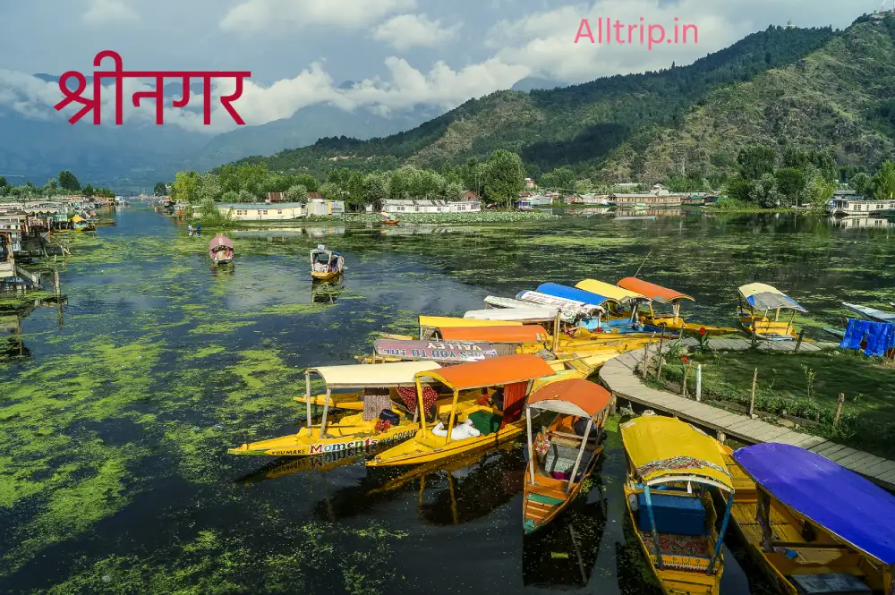 श्रीनगर कहाँ है? | कैसे जाएं | बेस्ट टाइम